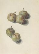 Edouard Manet Etude de cinq prunes (mk40) oil painting
